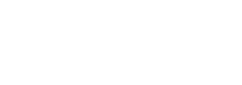Renvix